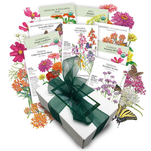 Butterfly Banquet Gift Set