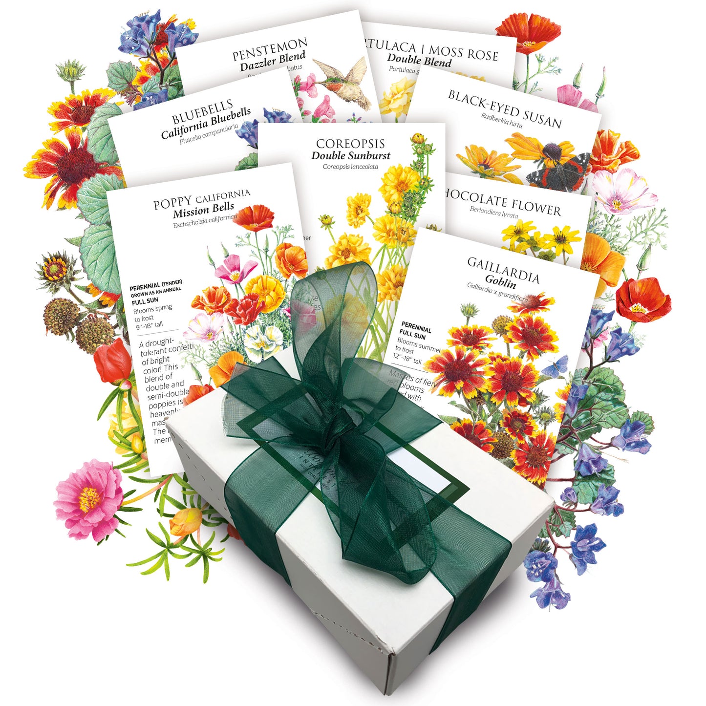 Drought-Tolerant Flower Gift Set