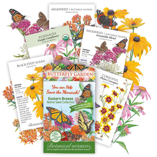 Eastern Breeze Butterfly Gift Set