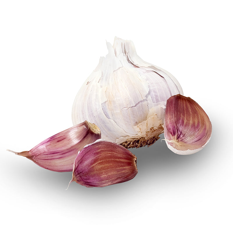 Creole Red Hardneck Garlic - USDA Certified Organic