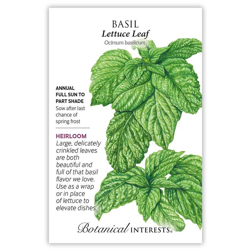 Lettuce Leaf Basil Seeds Botanical Interests