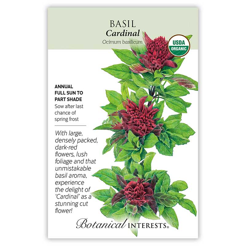 Cardinal Basil Seeds Botanical Interests