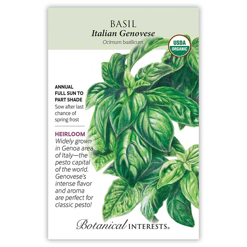 Italian Genovese Basil Seeds Botanical Interests