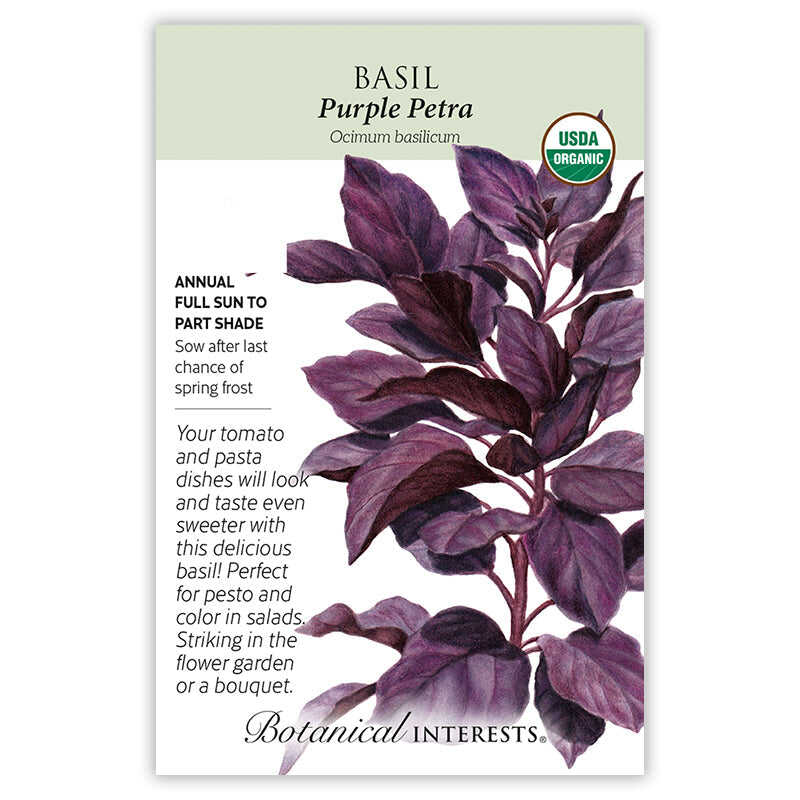 Purple Petra Basil Seeds