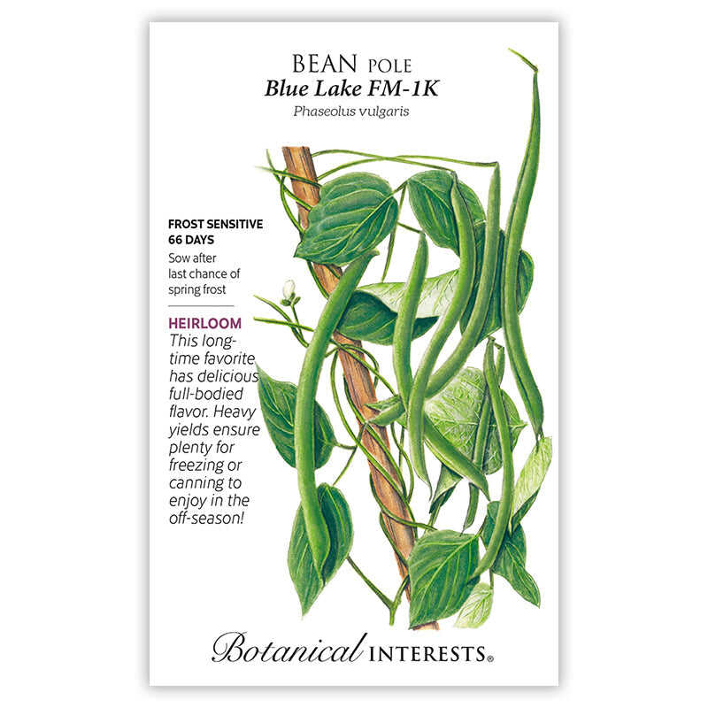 Blue Lake FM-1K Pole Bean Seeds