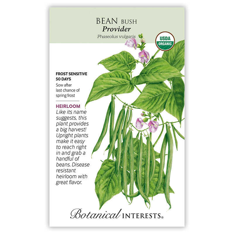 Provider Bush Bean Seeds