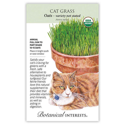 Cat Grass Seeds