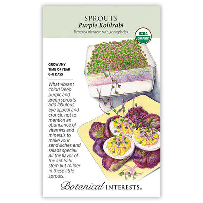 Purple Kohlrabi Sprouts Seeds