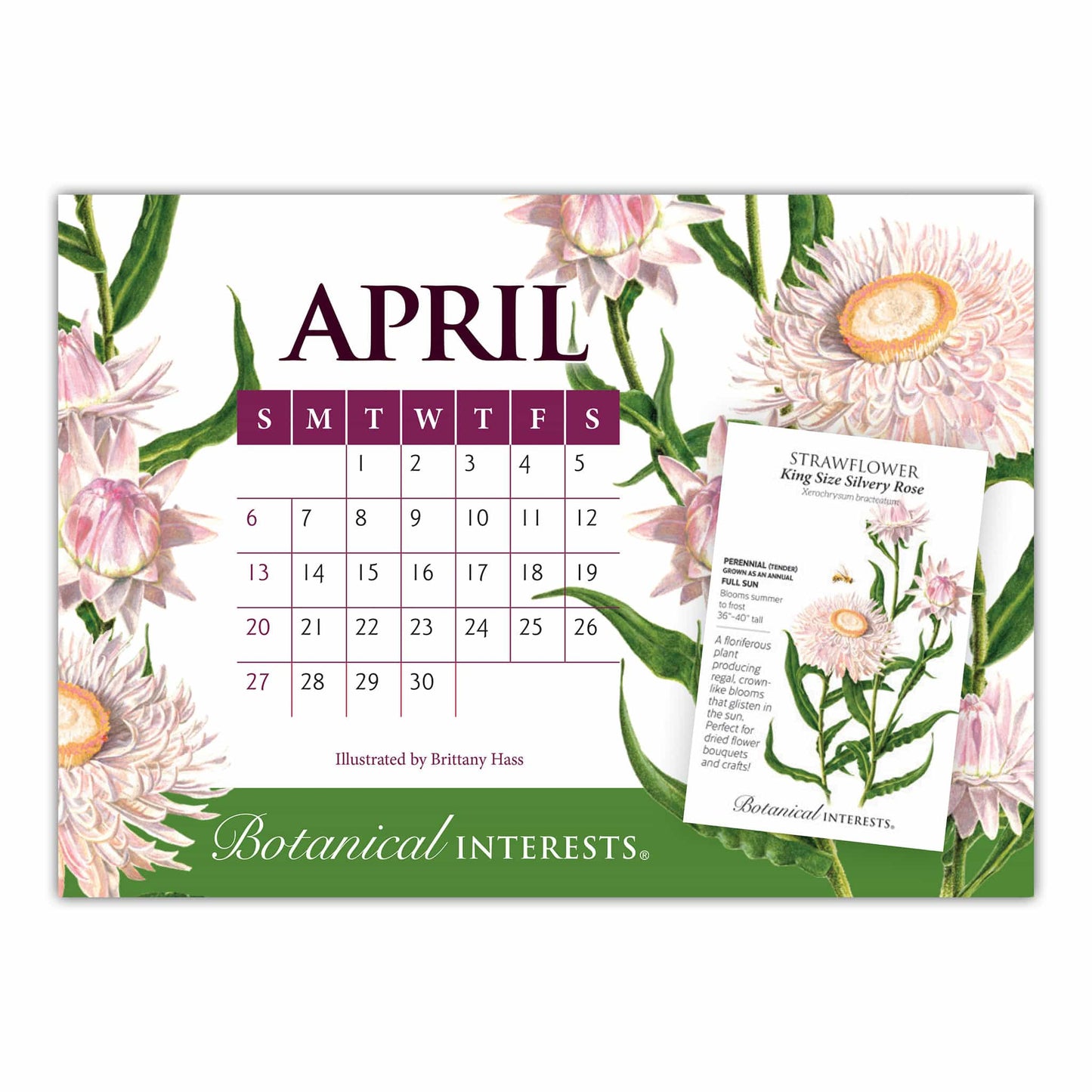 2025 Botanical Interests Desk Calendar