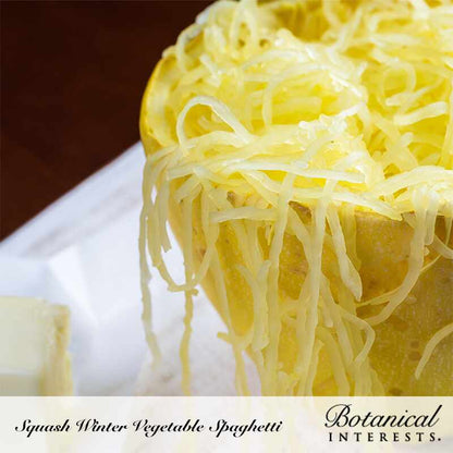 Vegetable Spaghetti Winter Squash Seeds