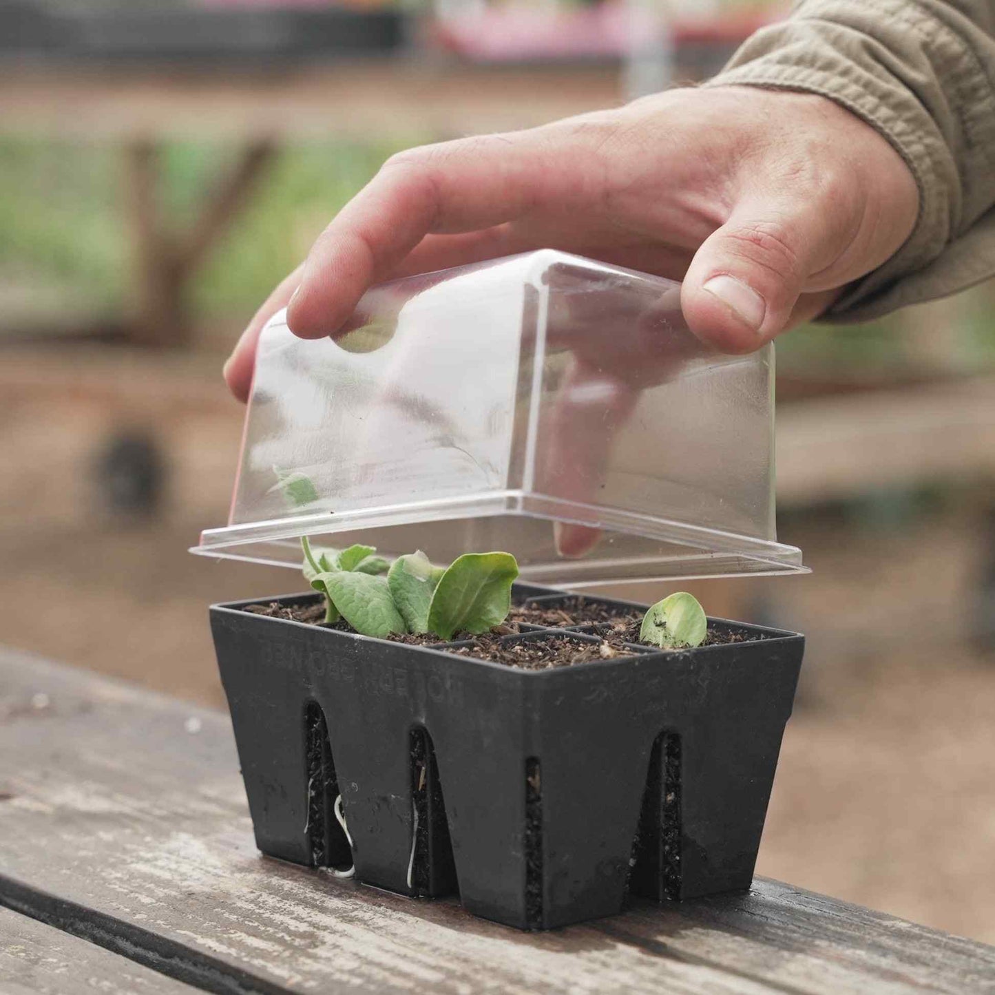 Germination Domes & Bottom Trays for Epic Cells