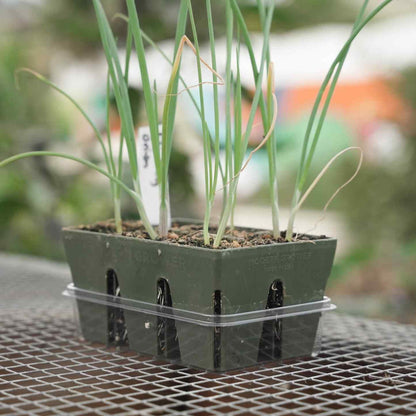 Germination Domes & Bottom Trays for Epic Cells