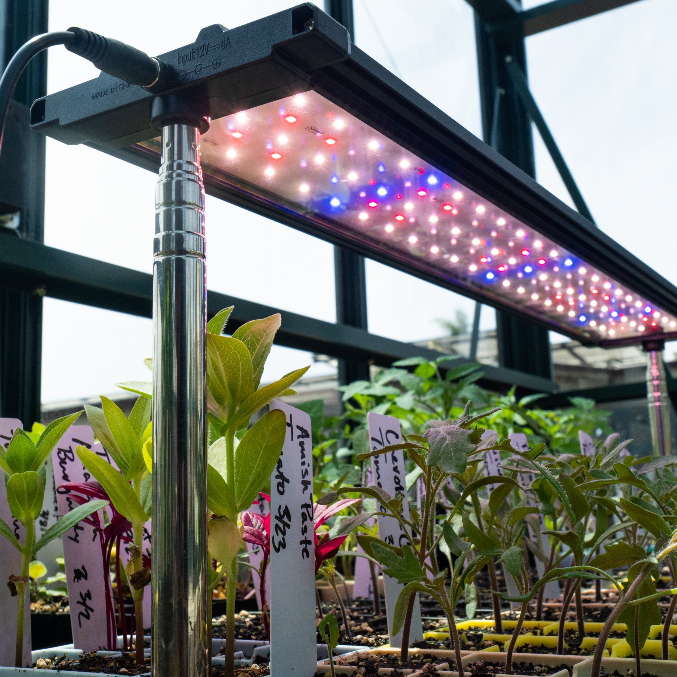 Hot Grow Light