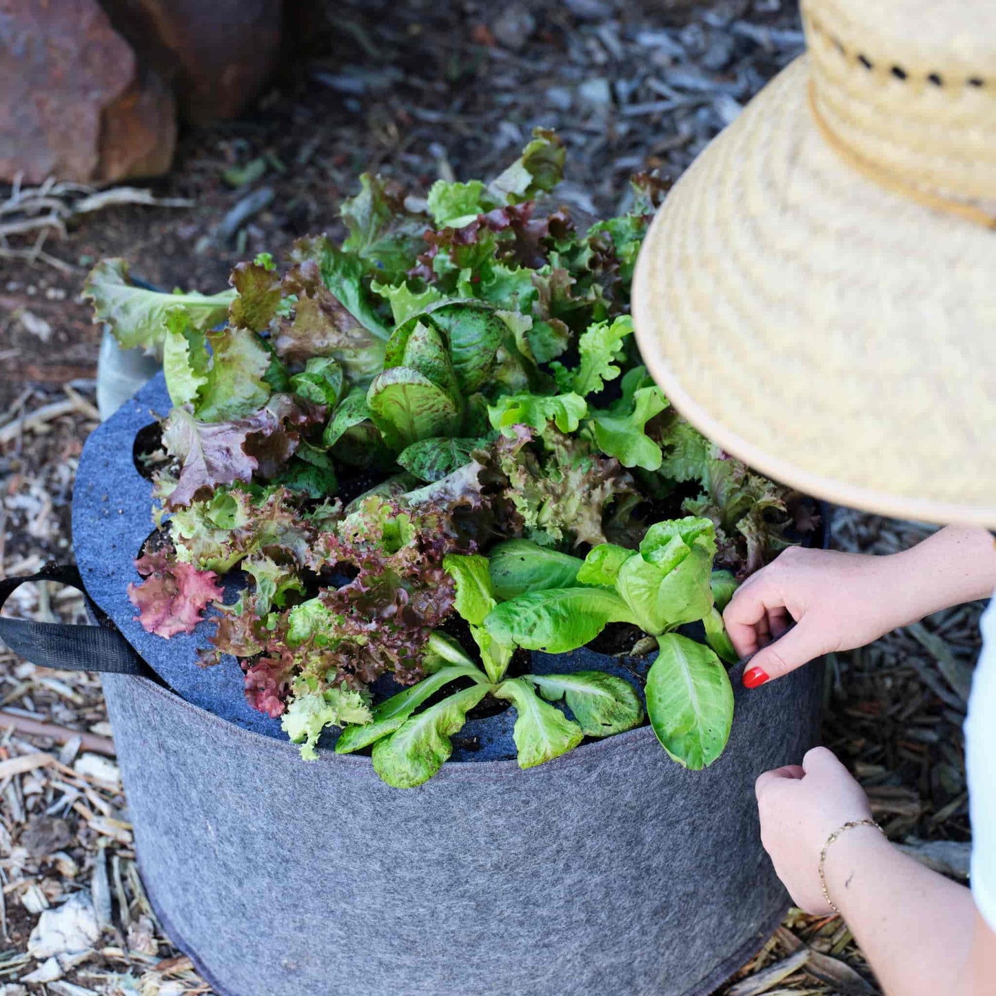 Plantable Fabric Covers