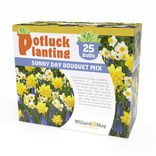 Potluck Planting Sunny Day Bouquet Mix