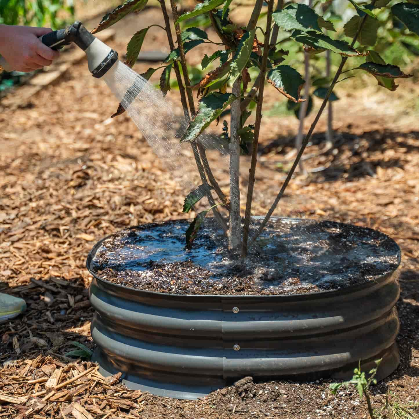 8" Tall Metal Tree Surround