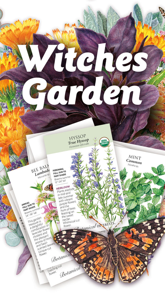 Witches' Garden Collectible Card