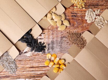 Eight types of vegetable seeds spread out on a table next to their envelopes.