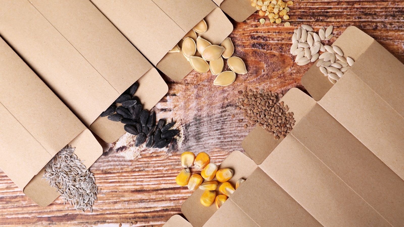 Eight types of vegetable seeds spread out on a table next to their envelopes.