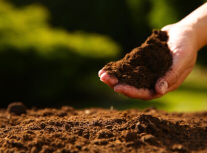 Close-up of a male hand holding a small amount of soil above the ground.