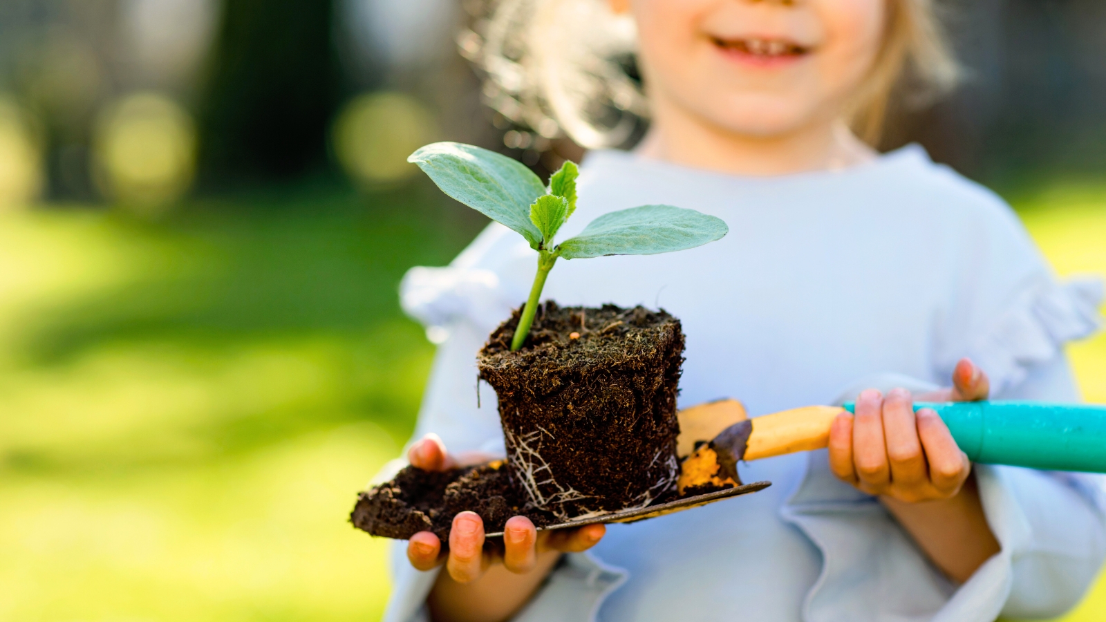 A small blonde girl holds a yellow shovel with a young seedling, displaying a root ball, thin stem, and a pair of oval, dark green cotyledons.