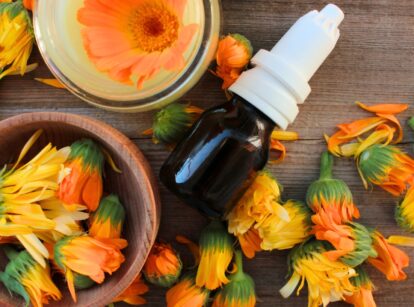 Calendula flowers and oil on a wooden table, highlighting Calendula benefits and DIY oil.