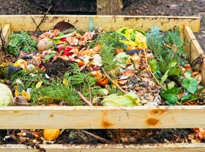 A compost heap inside a wooden box filled with decomposing fruit and vegetable scraps.