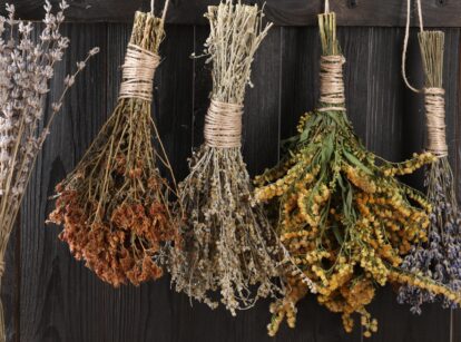 Bunches of dried lavender and goldenrod herbs hang against a wooden background, showcasing their natural textures and colors.