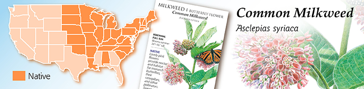 Common Milkweed Map