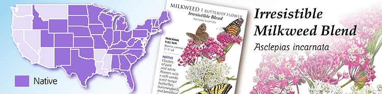 Irresistible Milkweed Map