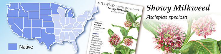 Showy Milkweed Map