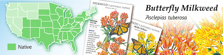 Butterfly Flower Map