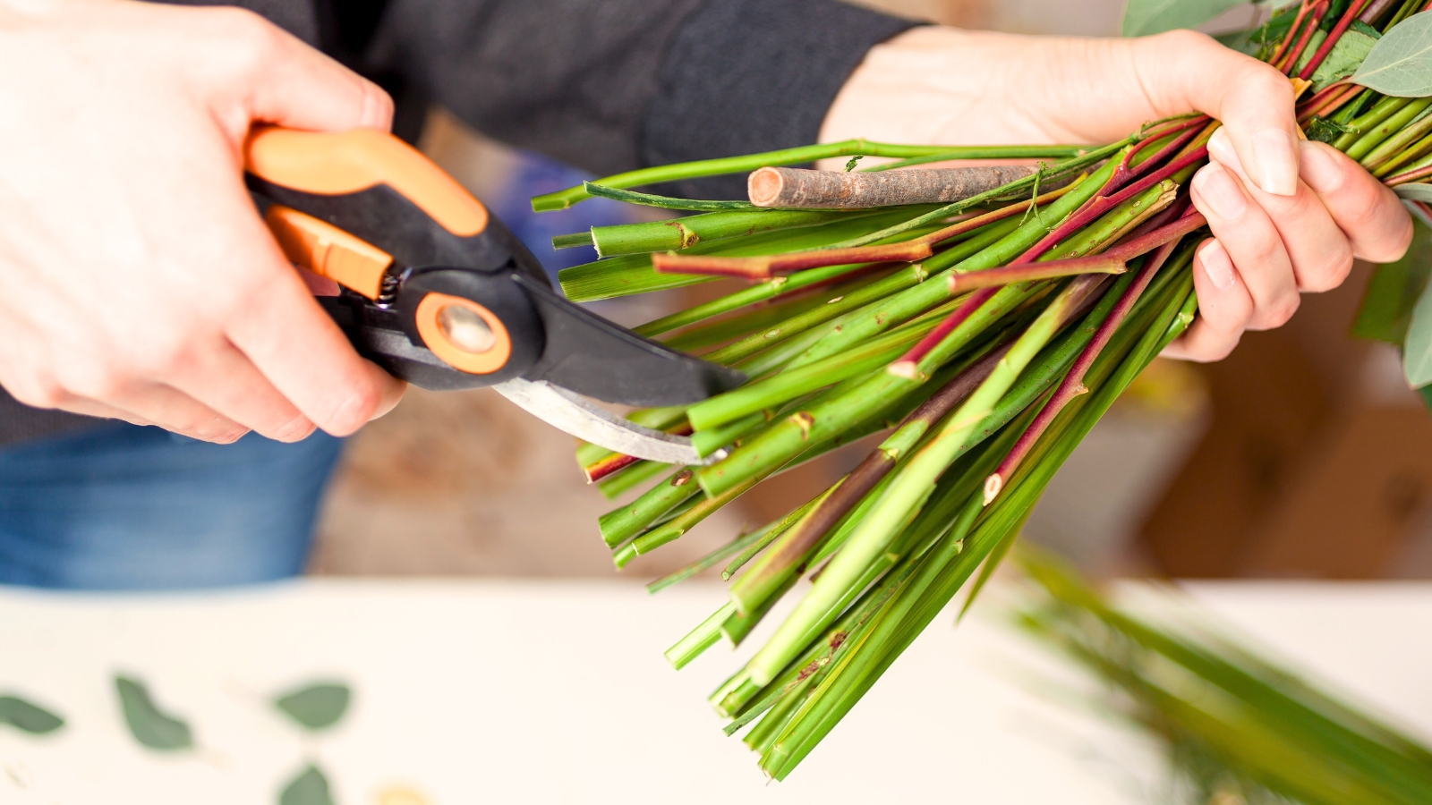 A woman uses pruning shears to trim flowers, carefully cutting the stems to extend their lifespan.