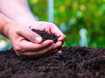 Close-up of a farmer's hands holding a handful of soil, showcasing its texture and richness.