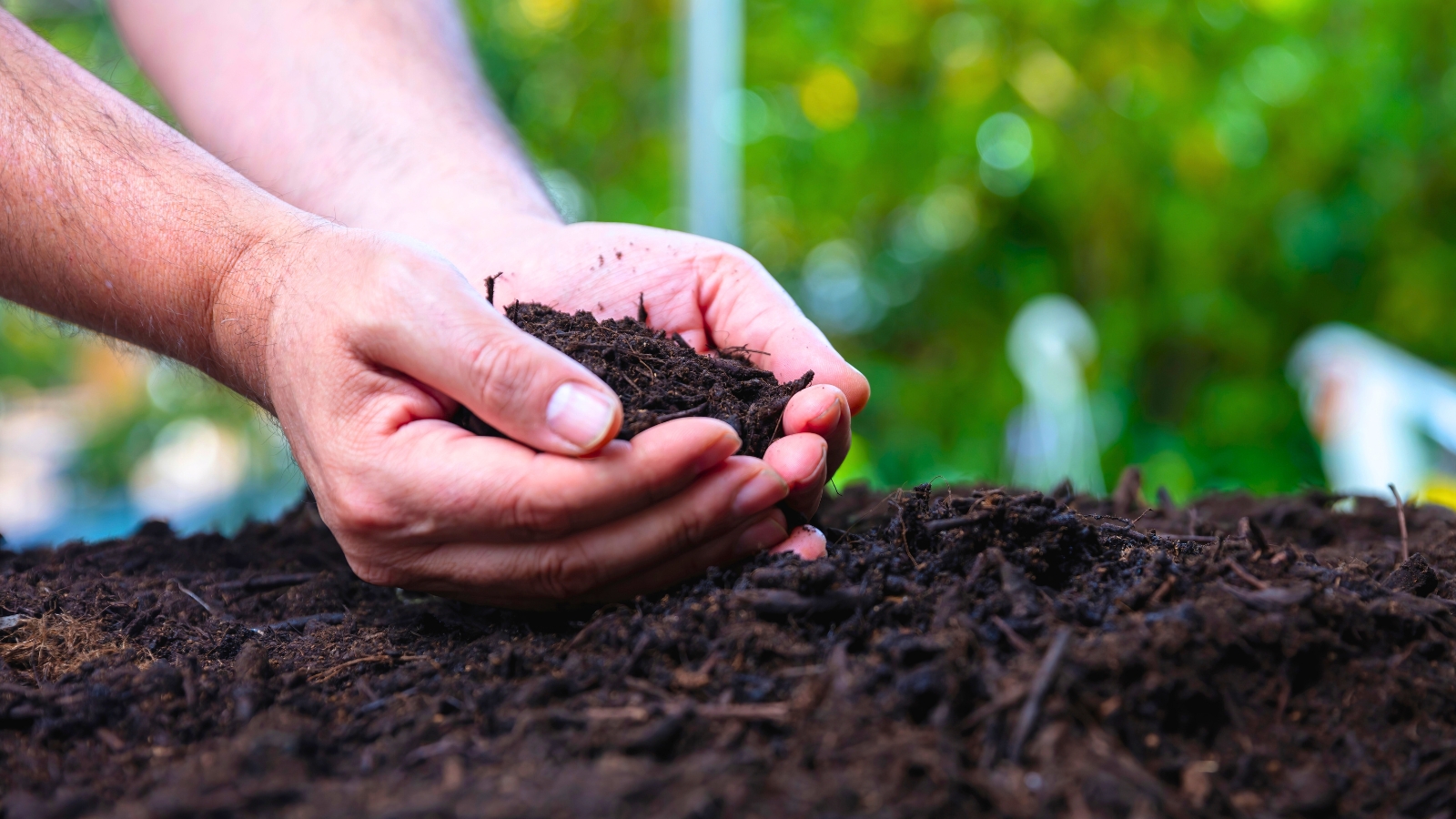 Close-up of a farmer's hands holding a handful of soil, showcasing its texture and richness.