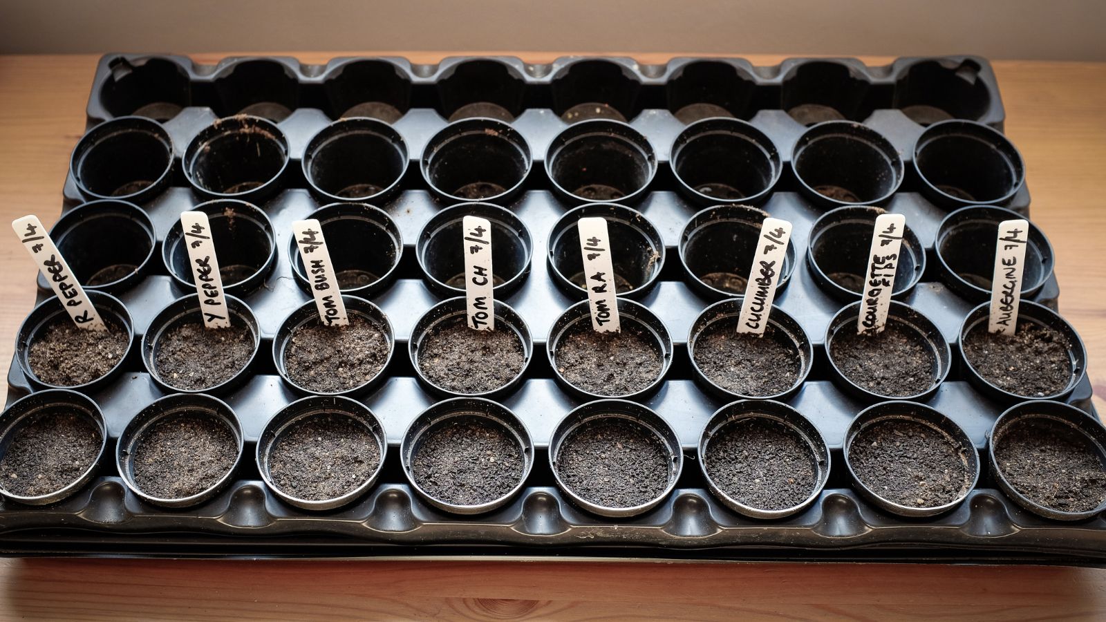 A shot of a black germinating tray near a window with labels of the planted germs per cell in a well lit area indoors