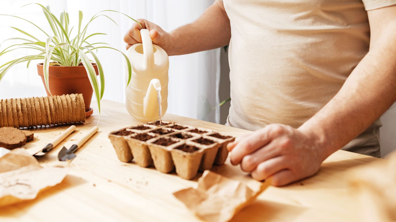 A shot of a person using a small watering pot to water a small peat tray for plant ovules placed on top of a wooden surface along with other tools in a well lit area indoors