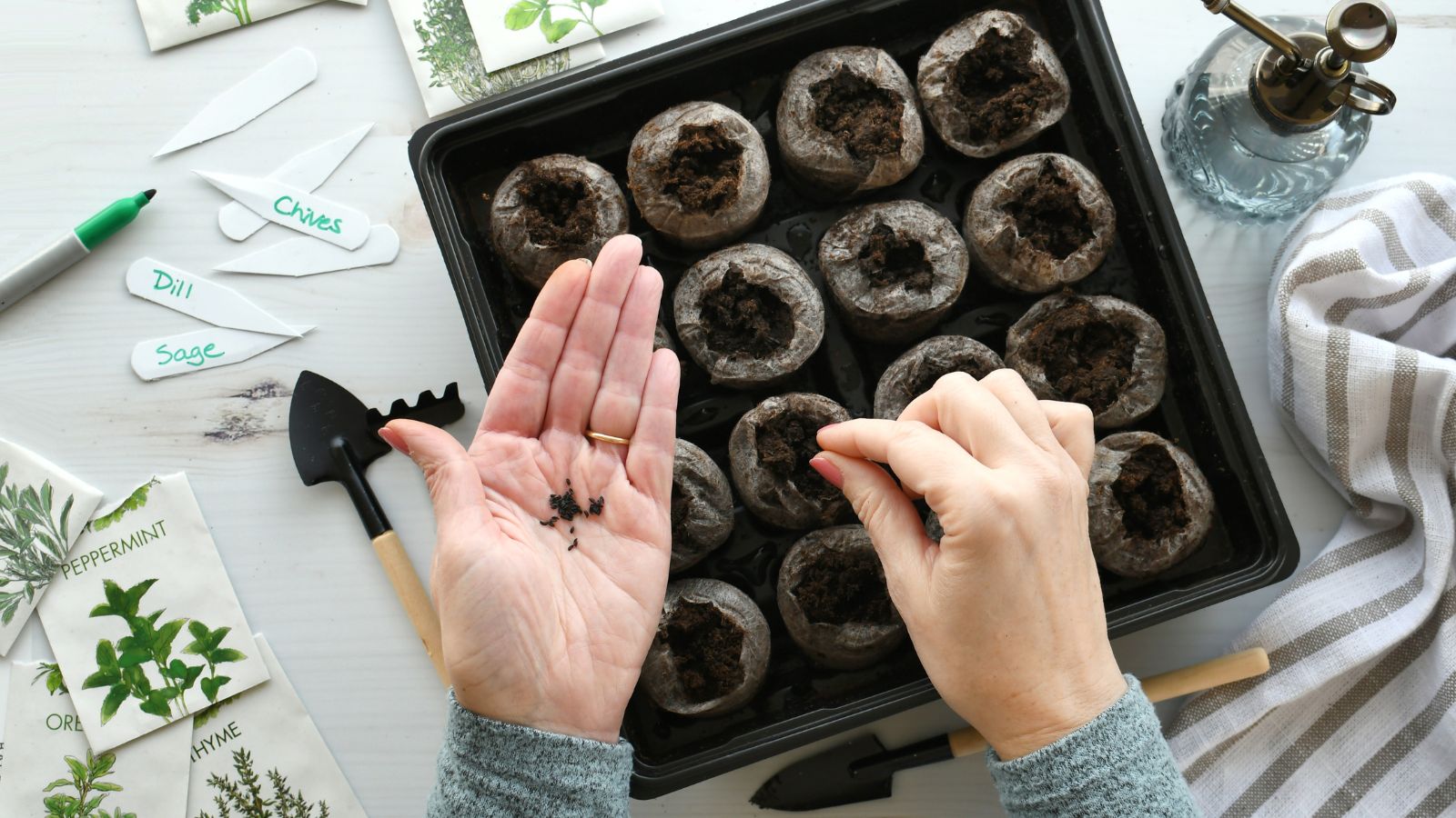 A overhead shot of a person sowing germs of plants on a tray with nursery pods and other tools placed on top of a clean wooden surface in a well lit area indoors