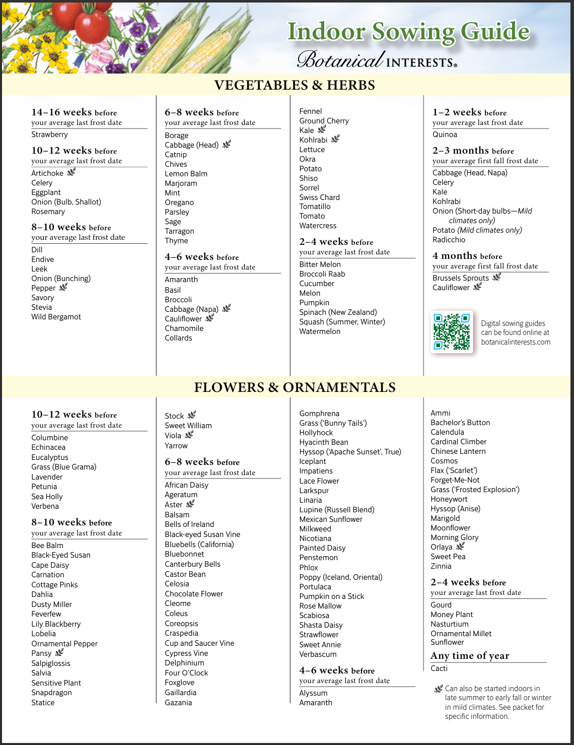 Indoor sowing guide 2025