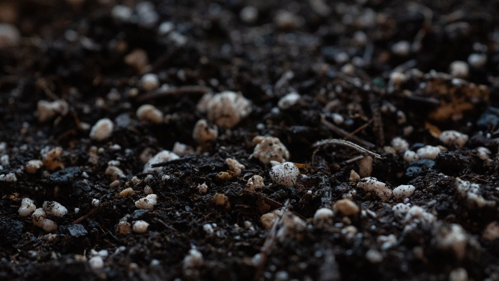 A close-up shot of a moist soil showcasing its different textures and dark color, placed in a well lit area