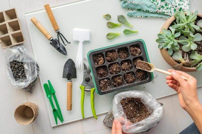 An overhead view of a seed-starting setup with soil, seed trays, and several tools.