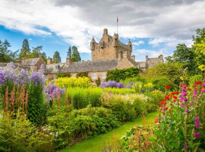 A landscape shot of a medieval themed allotment that can be a game of thrones inspired garden