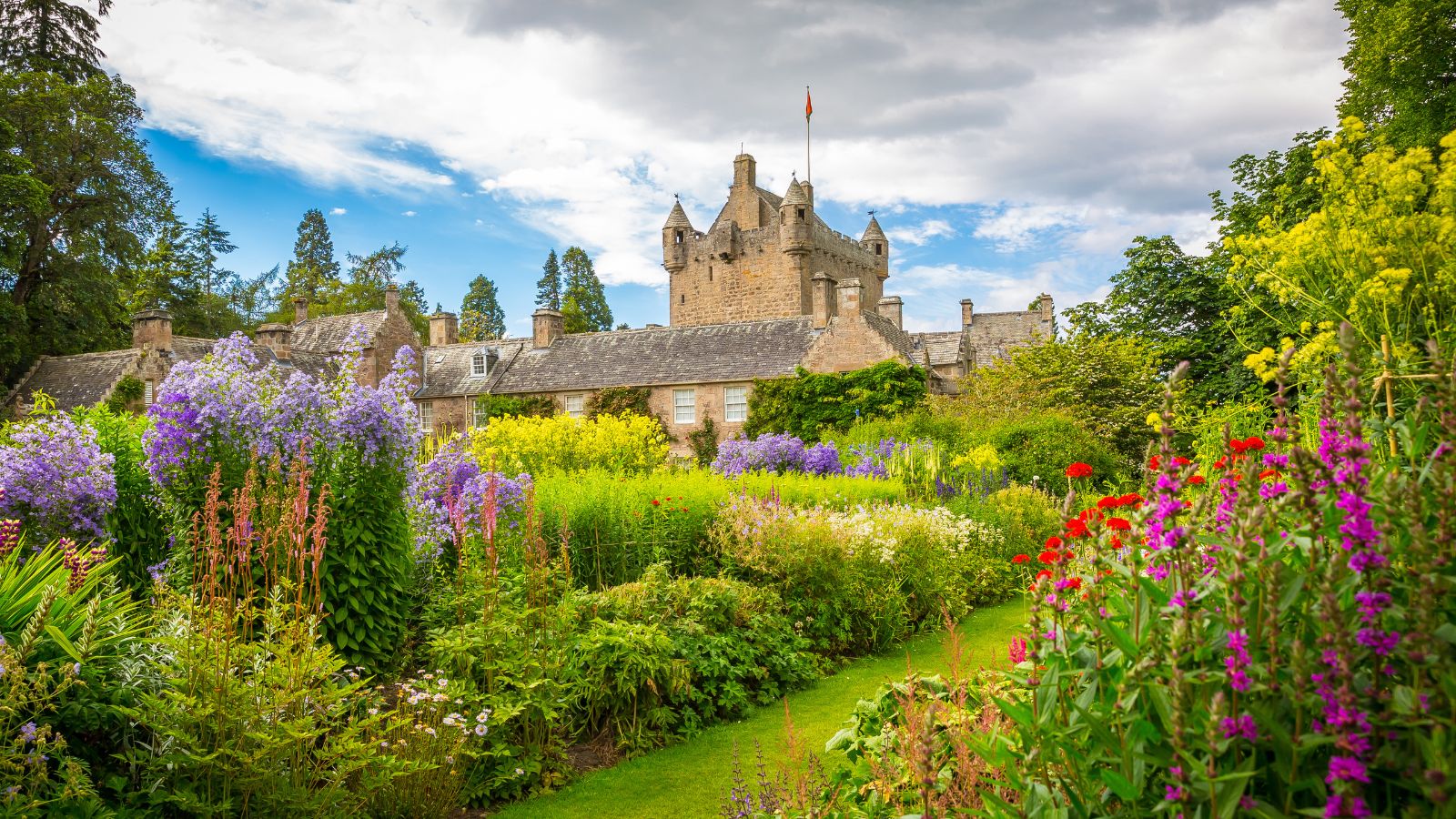 A landscape shot of a medieval themed allotment that can be a game of thrones inspired garden