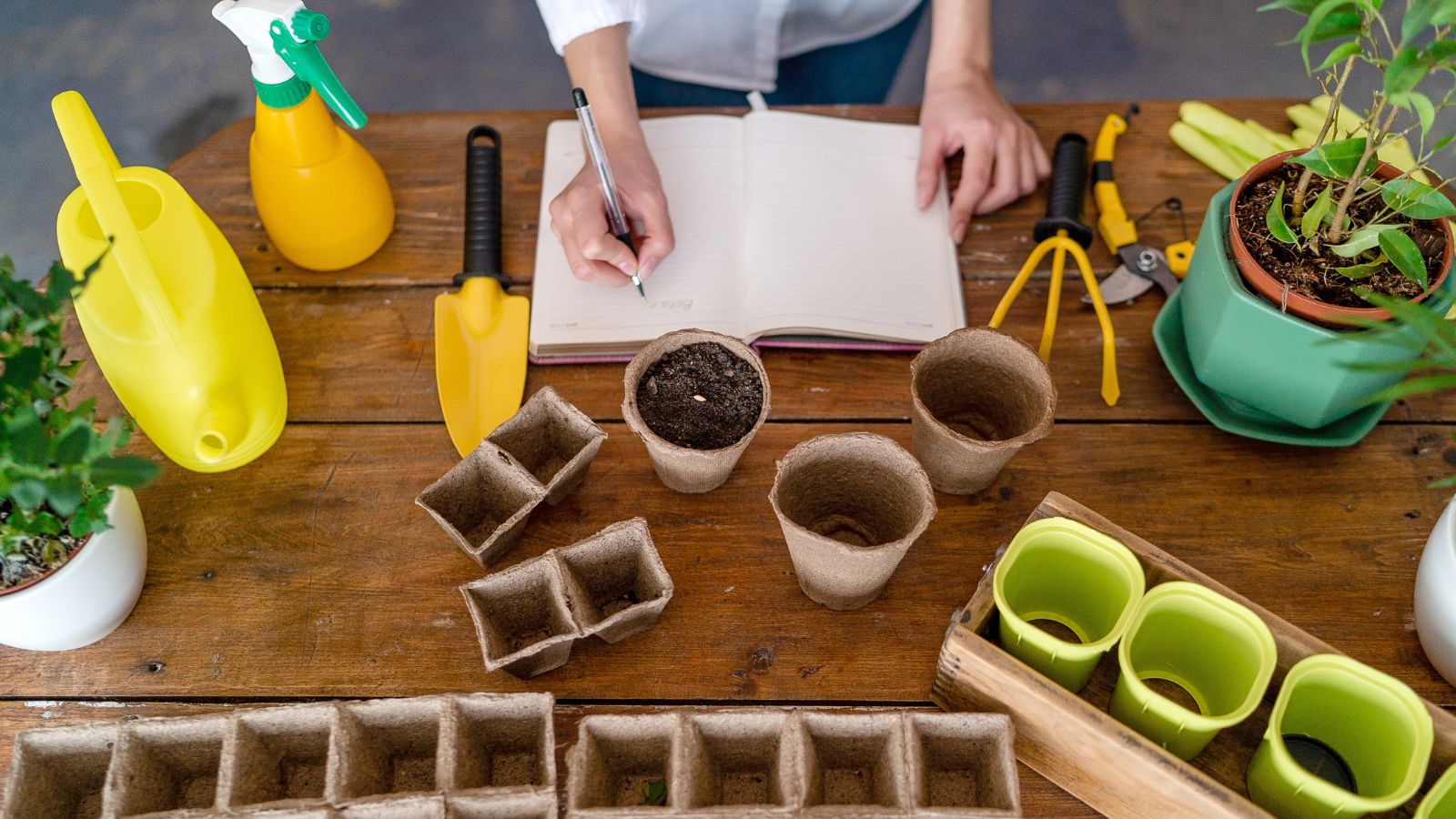 A shot of a person in the process of taking notes before planting, alongside several planting tools and equipment on a wooden surface in a well lit area