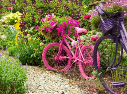 A shot of an allotment with various plants and flowers that shows enchanted wonderland garden seeds