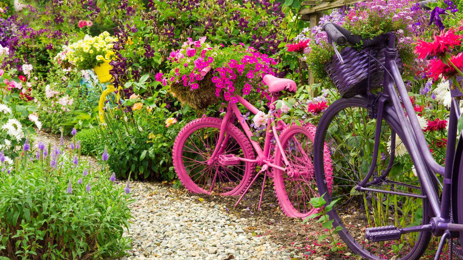 A shot of an allotment with various plants and flowers that shows enchanted wonderland garden seeds