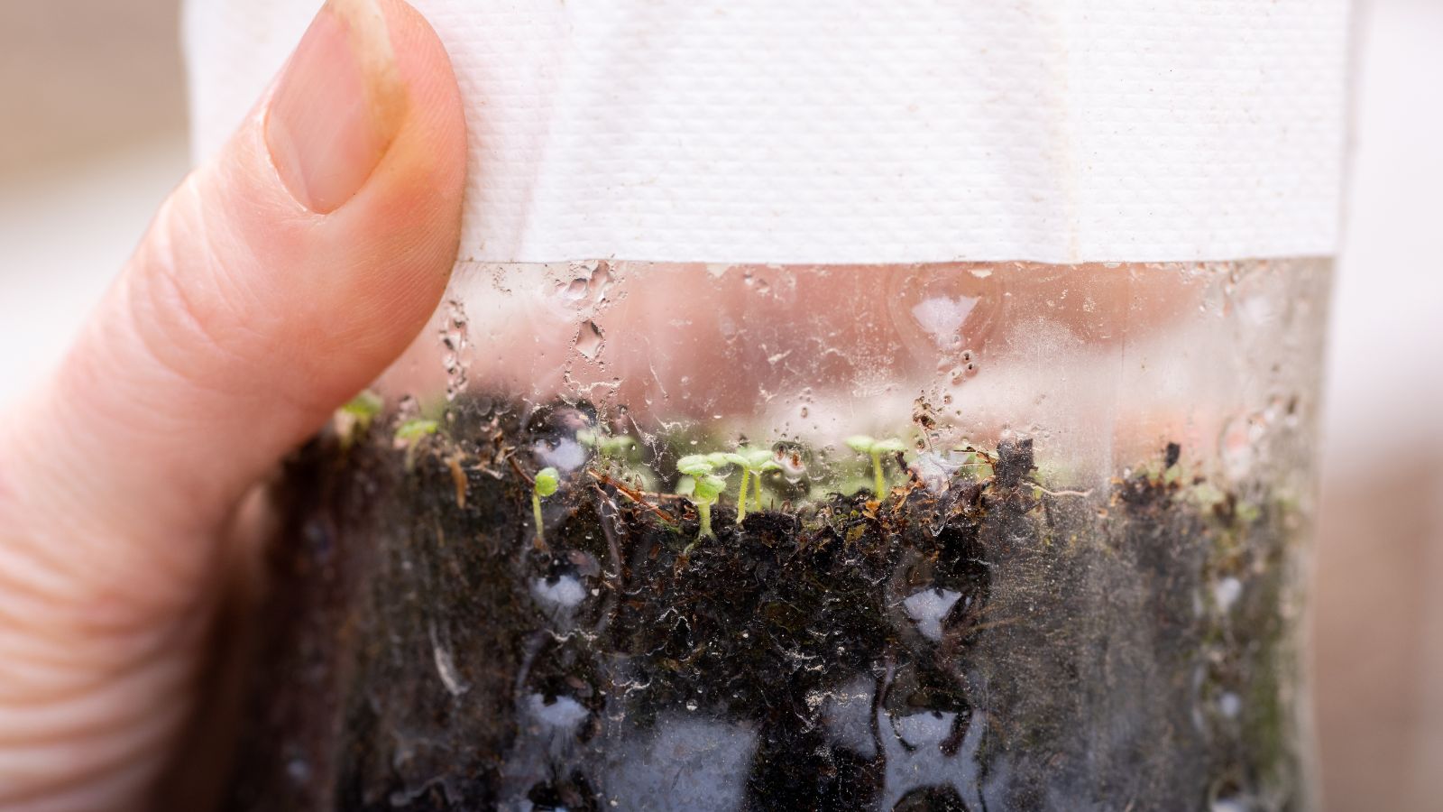 A shot of a person holding a bottle filled with soil and developing seedlings in a well lit area