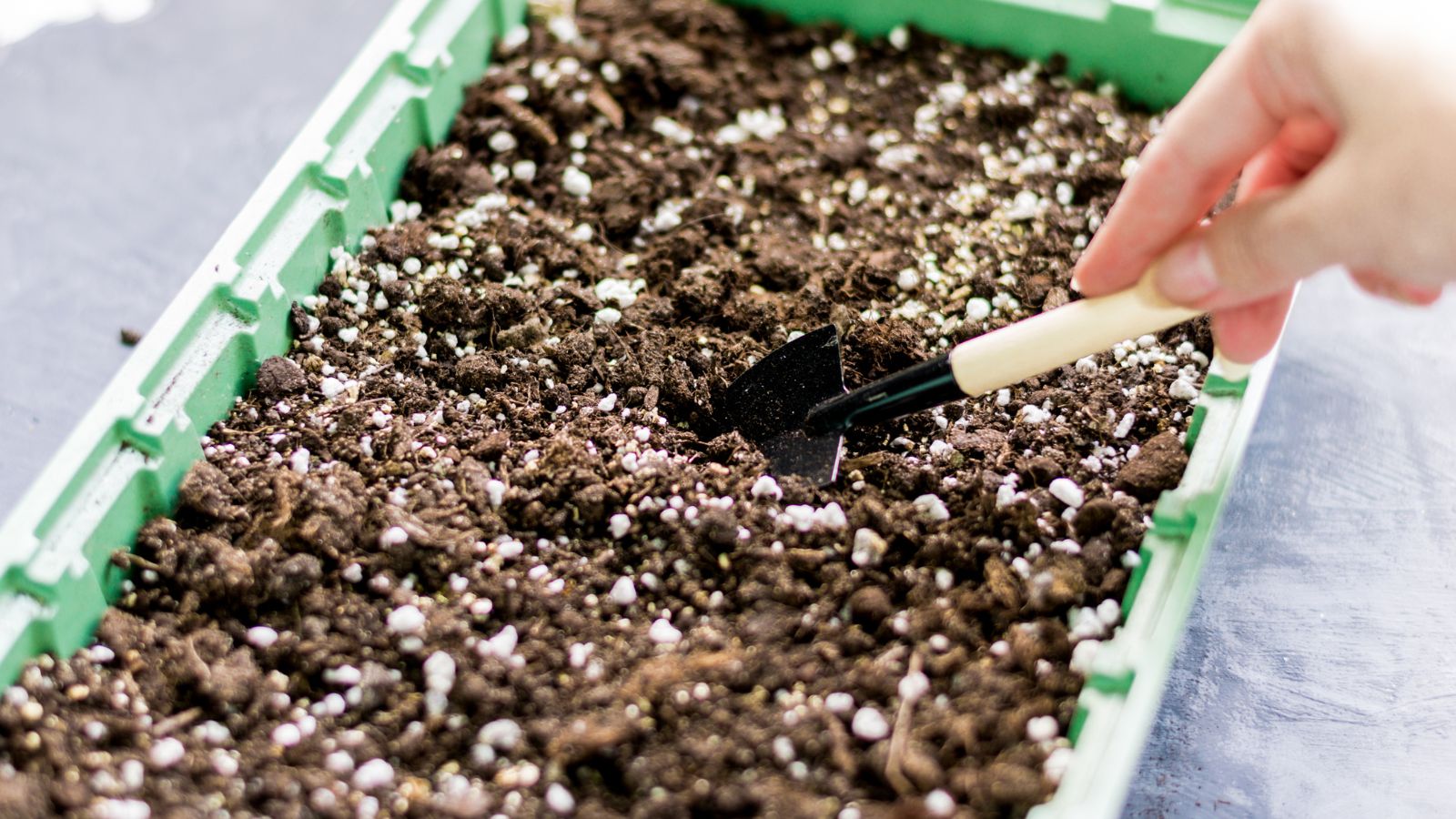 A shot of a person in the process of preparing a shallow container with a soil mix in a well lit area