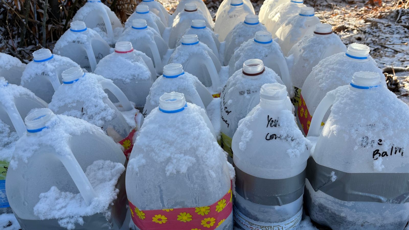 A shot of several milk jugs covered in snow in a well lit area outdoors