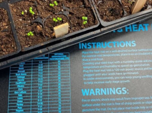 A tray of seedlings grows on a heat mat.